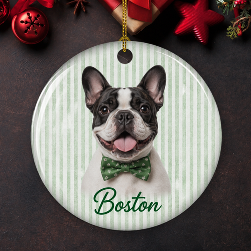 Personalized Pet Portrait Ceramic Ornament – Custom Dog & Cat Christmas Ornament with Name